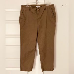 Loft olive green chinos size 12 NWOT